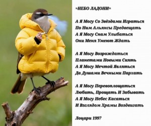 Screenshot_20251116_112123_Gallery