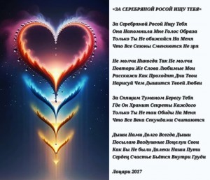 Screenshot_20260223_192650_Gallery