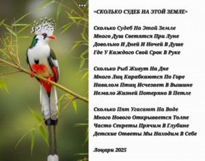 Screenshot_20251028_184006_Gallery