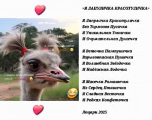 Screenshot_20251103_164647_Gallery