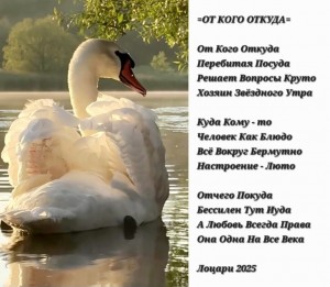 Screenshot_20251110_144107_Gallery