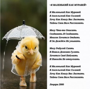 Screenshot_20251213_130735_Gallery