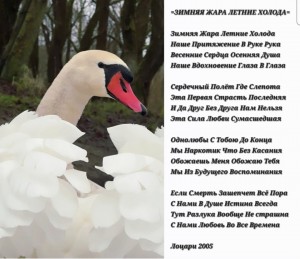 Screenshot_20251221_220134_Gallery