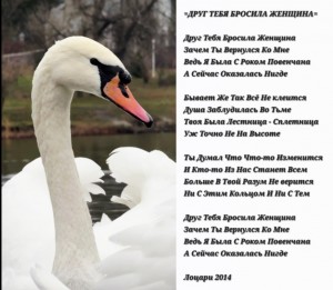 Screenshot_20260417_050929_Gallery